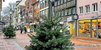 Peine Marketing gibt Christbäume am 23. Dezember gegen Spende ab - Peiner Allgemeine Zeitung - PAZ-online.de