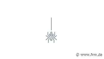 Tec Off Spider : Digitales Marketing: Spinnen-Power für das Reisebüro - fvw.de