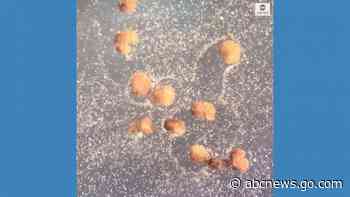 Nations renew talks on 'killer robots' as deal hopes narrow