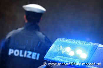 Schwarzarbeiter-Kontrolle in Mannheim - zahlreiche Verstöße entdeckt - Mannheim - Nachrichten und Informationen - Mannheimer Morgen