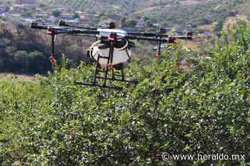 Combaten mosca de la fruta en Calvillo - El Heraldo de Aguascalientes