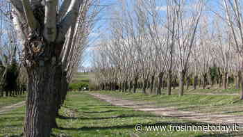 Le squadre di Calcio del Colleferro e del Cerveteri si alleneranno alla Selva di Paliano - FrosinoneToday