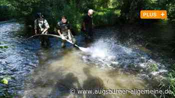 Projekt des Fischervereins Meitingen beim ARD-Quiz - Augsburger Allgemeine