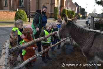 Is Tom populairste kerstezel van regio?