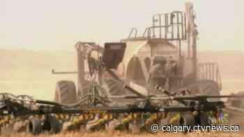Hay West saves 17,000 cattle, but herds still being culled due to 2021 drought