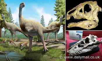 Theropod dinosaurs evolved more robust jaws with time, study finds