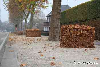 Gemeente maakt vanaf maandag 20 december bladkorven leeg (Kalmthout) - Gazet van Antwerpen
