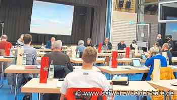 Viel Sturm- und Käferholz: Gemeinderat Haiterbach verabschiedet Planung für 2022