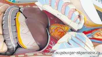 Ulrich Medizintechnik in Ulm wächst und wächst