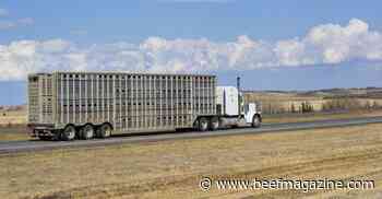 Infrastructure bill brings help for truck driver shortage