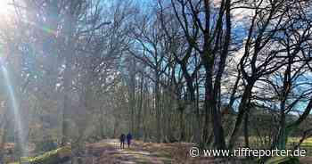 Trotz Corona-Stress und Winterblues gut schlafen? Zeit-Management hilft - RiffReporter