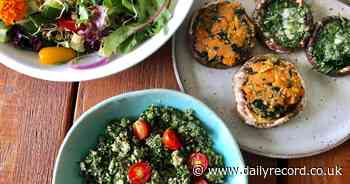 Vegan meals should be added to school menus, argues Dumfries Provost - Daily Record