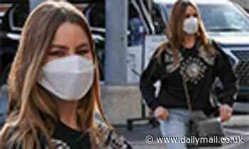 Sofia Vergara stays warm in a stylish sweater while getting some Christmas shopping done - Daily Mail