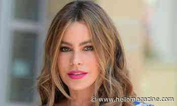 Sofia Vergara's wedding photos without Joe Manganiello have fans asking questions - HELLO!