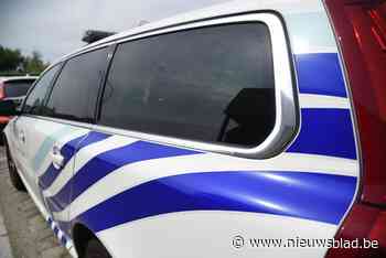 Dieven stelen rendierenbeeld uit voortuin