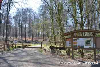 Brakel stapt (nog) niet mee in nieuw landschapspark, volgens raadslid van N-VA dreigt gemeente zo “het gat van de Vlaamse Ardennen” te worden - Het Nieuwsblad
