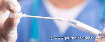 20% des cas liés à Omicron au Québec
