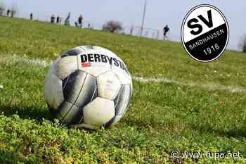 SV Sandhausen startet Kooperation mit Ballschule Heidelberg - FuPa - das Fußballportal