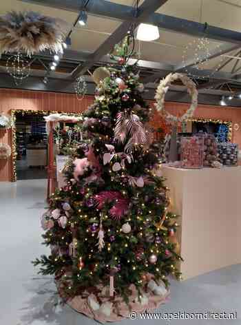 Kersttrends voor het versieren van je boom in 2021 - Apeldoorn Direct