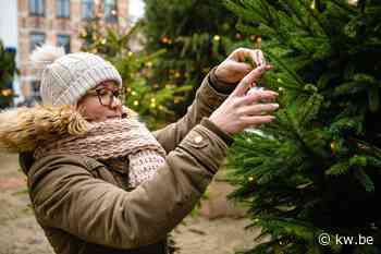 Je wens kan in Brugge de boom in (letterlijk) - KW.be - KW.be