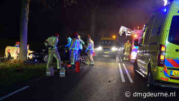 Auto raakt in flauwe bocht van de weg en botst tegen boom op Milheezerweg - DMG Deurne