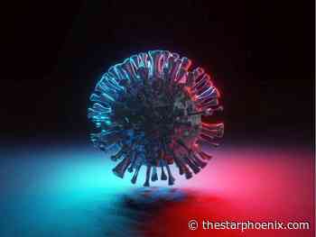 COVID-19: Probable Omicron case found at Saskatoon elementary school