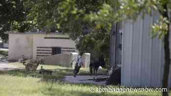 All from US missionary group freed in Haiti, police say - Lethbridge News Now