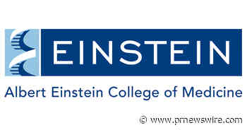 Albert Einstein College of Medicine and Montefiore Health System Receive Federal Grant to Expand Addiction Medicine Education and Training