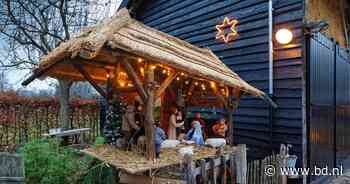 Zelfs een drijvend exemplaar: Dungenaren halen alles uit de kast voor kerststalletjes route - BD.nl