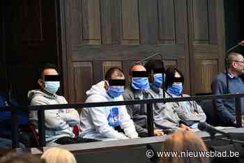 Burgerlijke partijen halen zwaar uit naar verdachten in rechtszaak over 39 dode migranten in vrachtwagen: “Ronduit degoutant” - Het Nieuwsblad