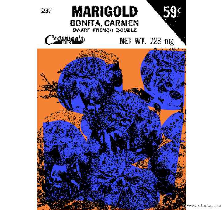 Lucien Smith Drops First NFT Collection ‘Seeds’