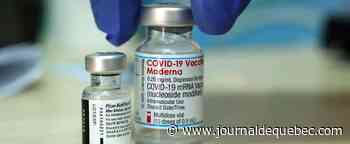 Pfizer et Moderna plutôt que Johnson & Johnson, recommande un comité américain