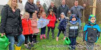 Pflaumenbaum gepflanzt – Waltroper Kinder freuen sich schon auf die Ernte - Dattelner Morgenpost