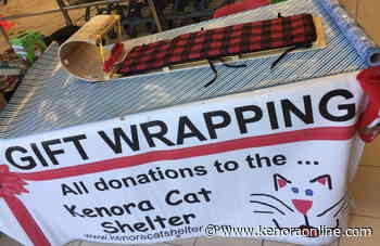 Kenora Cat Shelter looking for gift wrapping elves - KenoraOnline.com