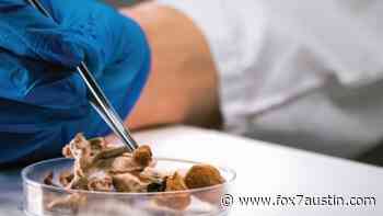 UT Austin's Dell Med opens center to study psychedelic treatments - FOX 7 Austin