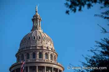 Austin city council member sounds alarm as city extends COVID mandates with no public input - Fox News