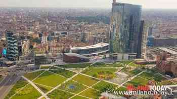 Due prati fioriti nel giardino di via De Ponti e nel parco degli Alpini - MilanoToday.it