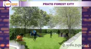 Prato Forest City - tvprato.it