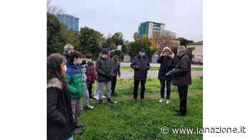 Ex Ilva, fontanelle per irrigare il prato fiorito grazie al Rotary Club - LA NAZIONE