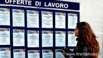 Offerte di Lavoro: Bofrost cerca 10 persone su Firenze, Prato e Pistoia - FirenzeToday