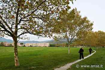 Ambiente: Prato lancia piattaforma Forest city - Infrastrutture & Città - Agenzia ANSA