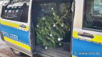 : Kiel: Weihnachtsbaumdiebstahl aufgeklärt | shz.de - shz.de