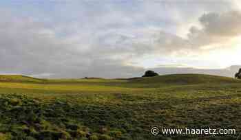 Ancient lyre of Sutton Hoo is oddly like one centuries older in Kazakhstan 4,000 km away - Haaretz
