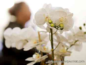 'He almost killed me': Catholic Social Services providing needed support as complexity of domestic violence cases rises amid the pandemic