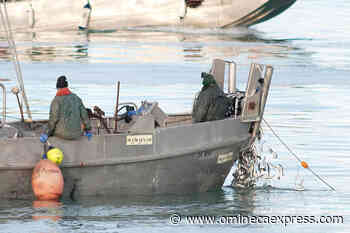 Federal government announces closure of most Pacific herring fisheries - Omineca Express