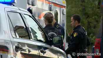 Saskatoon police satisfaction declines to 87%, lowest level in Insightrix survey - Globalnews.ca