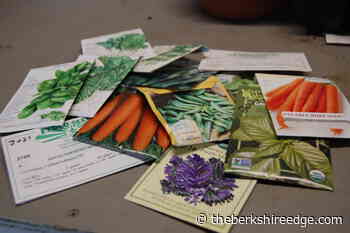 GARDENER'S CHECKLIST: Week of December 16, 2021 - theberkshireedge.com