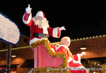 Naperville Gardener – December's Book of the Month - Positively Naperville