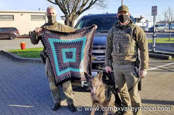 Vancouver Island woman crochets police dogs blankets for Christmas – Comox Valley Record - Comox Valley Record