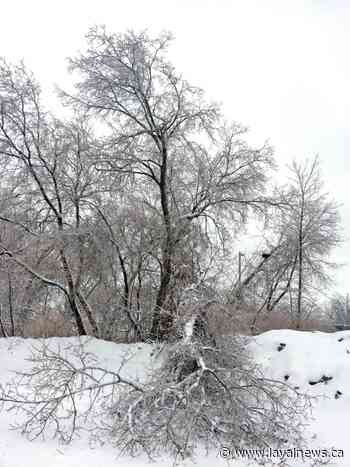 Meteorological Service of Canada issues 'freezing rain' warning - Laval News